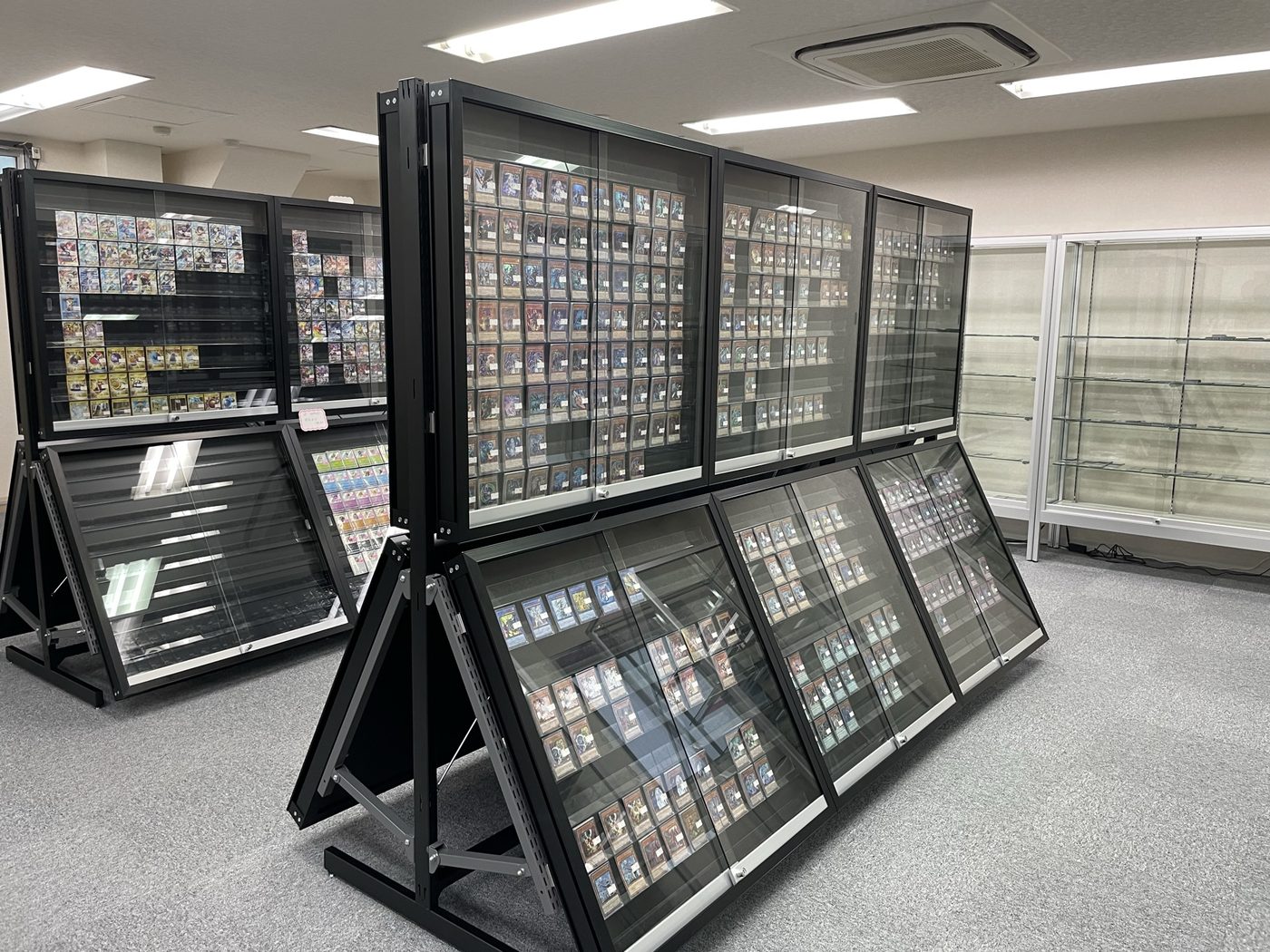 Fareham Central Display Gallery and Storage Shelf